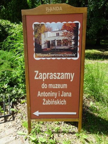 My journey with&nbsp;Jerzy